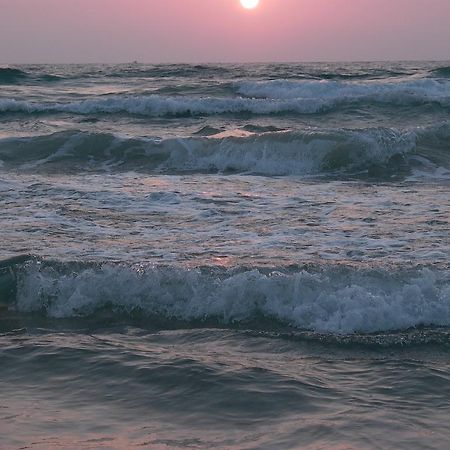 奥尔加海滩公寓 海法 外观 照片