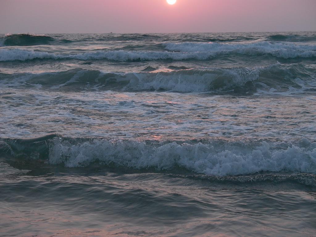 奥尔加海滩公寓 海法 外观 照片